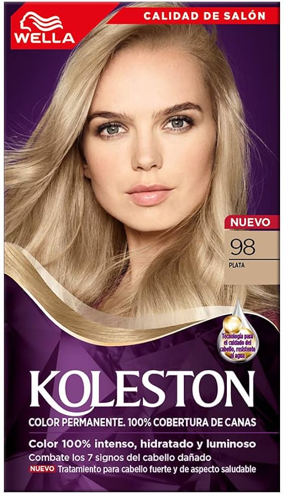 TINTE KOLESTON N-98 PLATA