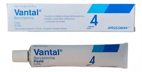VANTAL PASTA DENTAL