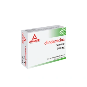 GE CLINDAMICINA ANTIB 300MG (A)