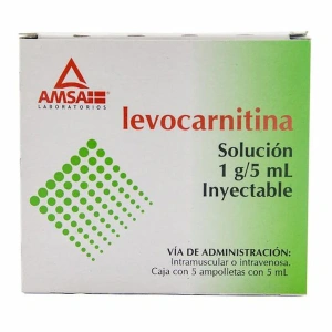GE LEVOCARNITINA ANTIB1G/5ML